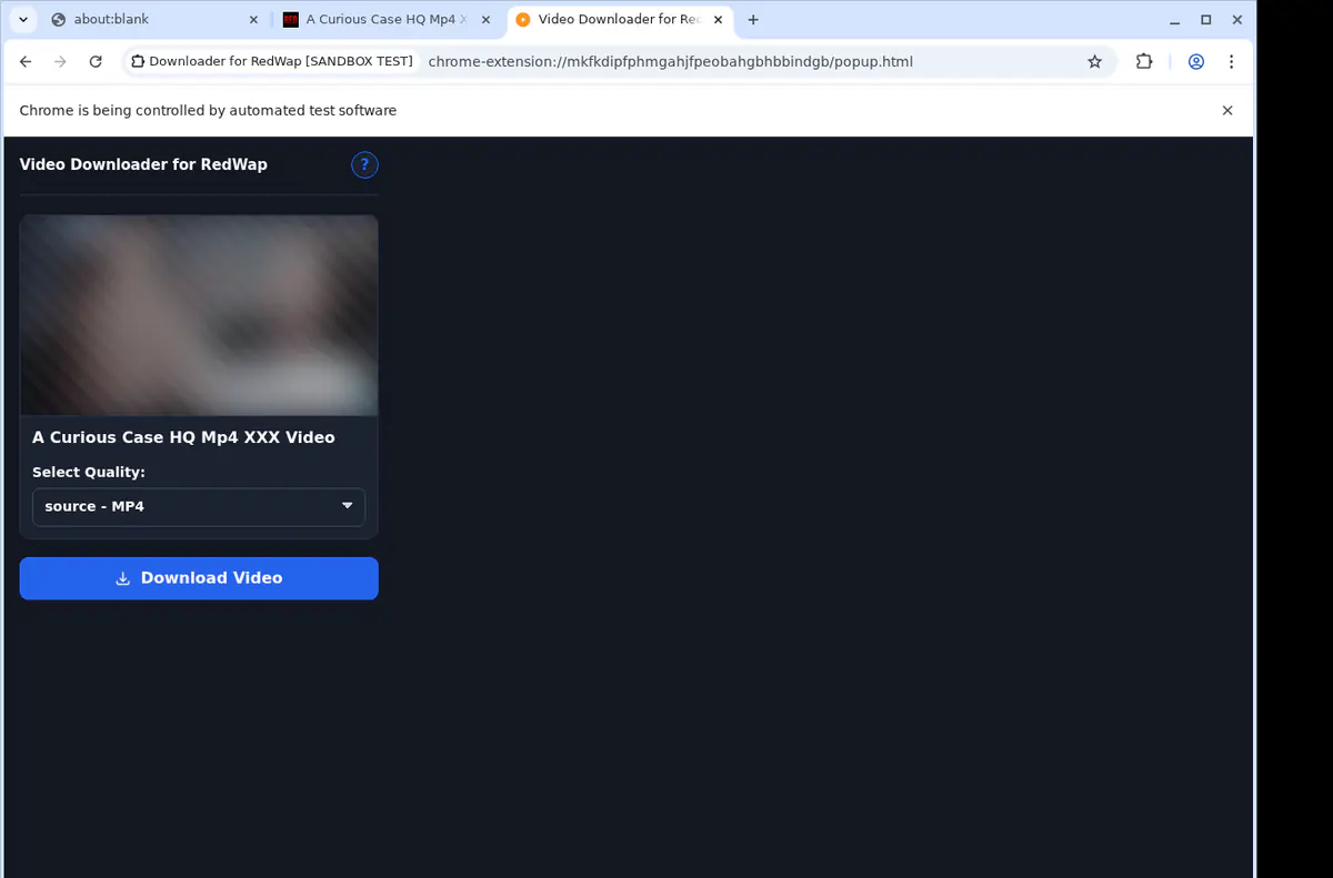 Redwap Video Downloader browser extension screenshot 4